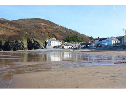 Morwelir Llangrannog