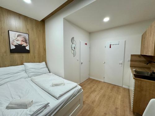 Zitna Downtown Apartments 4