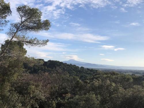 Villa Spacieuse dans le sud de la France