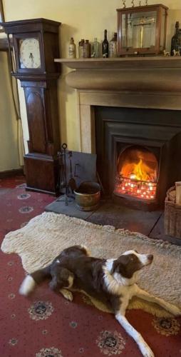 The Bridge Inn - image 3