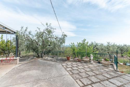 Macchia Verde, Monte SantʼAngelo (zdjęcie 7)