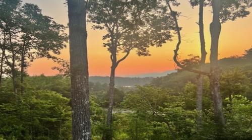 Summit Comfort in Ellijay, USA