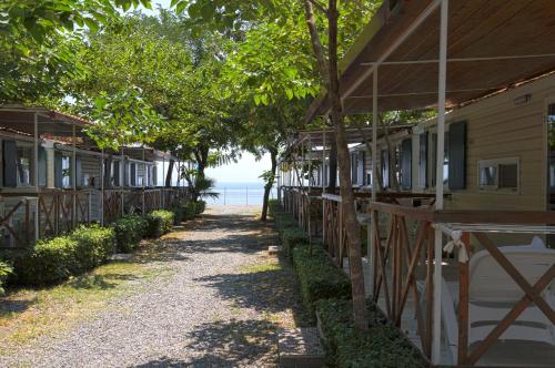 外部景觀, 拉弗斯塔斯庫拉露營地 (Camping La Focetta Sicula) in 聖阿萊肖西庫洛