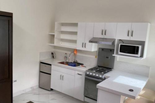 Loft, Departamento Con cocina, Súper Lujo, Cuarzo, Monterrey (foto 7)