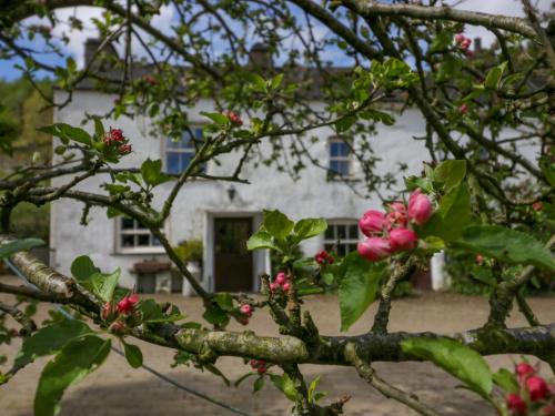 Moss Side Farm Cottage - image 5
