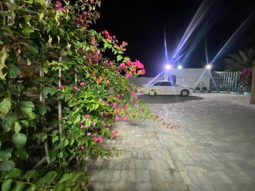 Garden, Farmhouse One Bedroom Attached Bathroom in Al Bahya