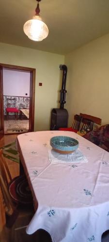 Casa Turcoaz in Svinita
