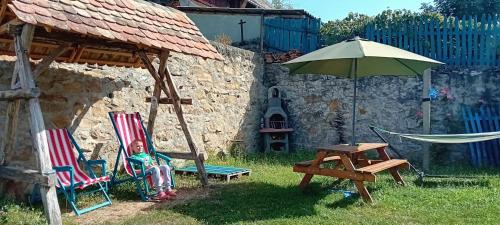 Casa Turcoaz in Svinita