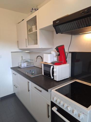 Appartement au calme avec balcon proche Genève (Appartement au calme avec balcon proche Geneve) in Gaillard