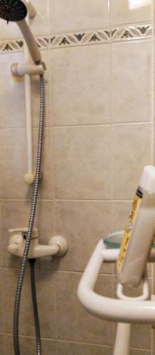 دش, Chambre 20 m2 S de B et WC privés, Garage (Chambre 20 m2 S de B et WC prives, Garage) in 4e arrondissement