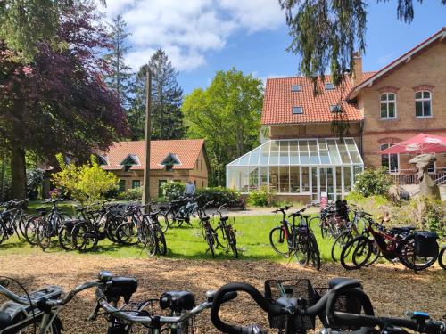 Garden, Hotel Schlosschen Sundische Wiese Zingst in Zingst