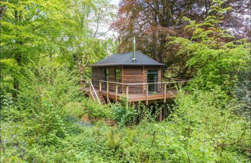 Unique Secluded Romantic Treehouse in Cornwall, sleeps 2 Unique Secluded Romantic Treehouse in Cornwall, sleeps 2