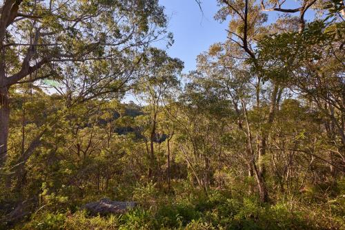 Emerald Cottage in the Blue Mountains