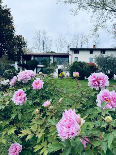 Bubamara - Bed and Breakfast, Lazise (foto 4)