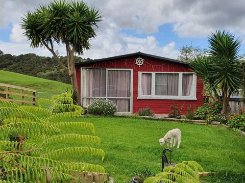 Viesnīcas āriene, Dream Weavers Farm Cabin in Waikare