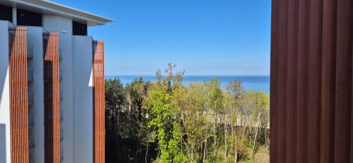 Pinea Apartments