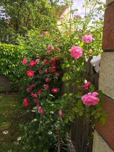 Ferienhaus mit Garten in Thermennähe