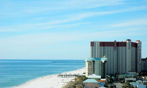 Sunbird 0208E 'Dolphin Watch' - image 12