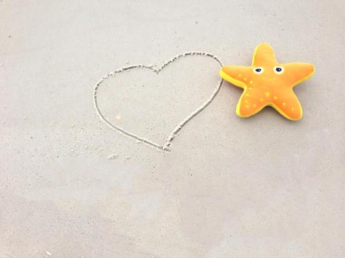 Sunbird 0208E 'Dolphin Watch'