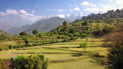 Rendezvous Resort Dharamshala