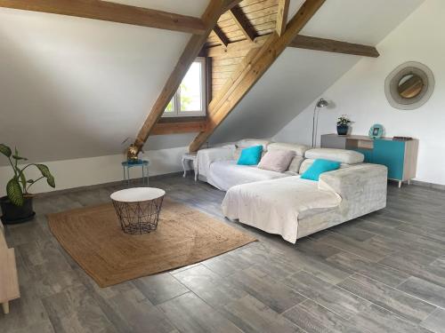 zest caraibes villa vue montagne