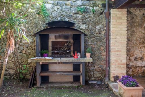 Smallville, Sovicille (foto 5)
