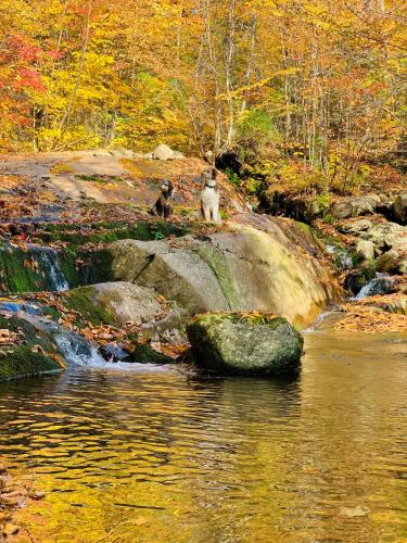 The Big Jack Chalet 33 Chemin Blanc by Les Chalets Alpins in Stoneham (QC)