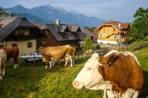 Schönauerhof in Schlanitzen, Österreich