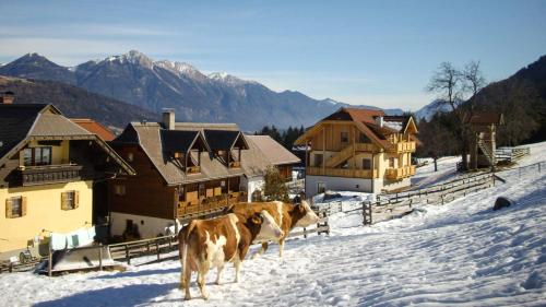 Schönauerhof in Schlanitzen, Österreich