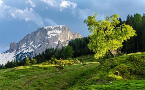 Schönauerhof in Schlanitzen, Österreich