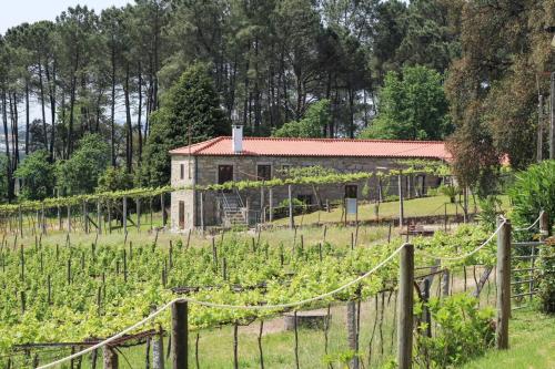 Casa da Eira by Quantique, Amares (foto 6)