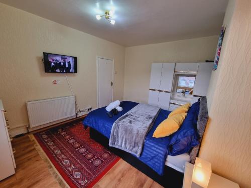 Bright sunny, double bed with garden, TV and Wi-Fi, Leeds (Foto 4)