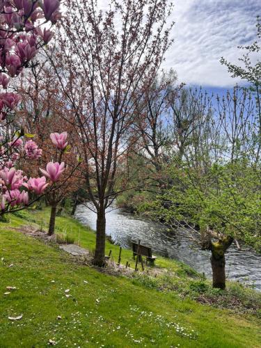 Garten Apartment am Fluss