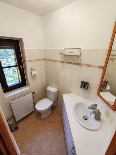 Pension Trojská - image 11