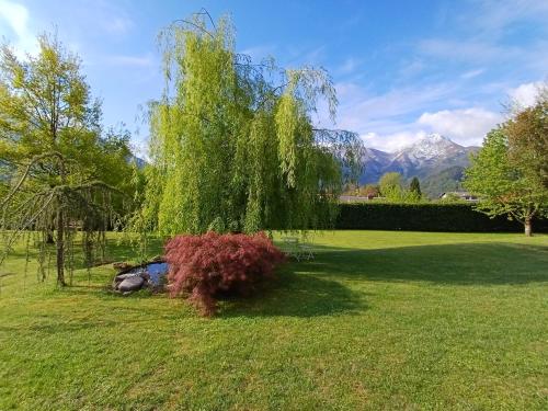 IL NIDO Chalet in mezzo al verde