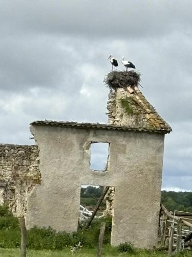 Maison JEROBOAM - Chambre d'hôtes - Saint-Estèphe