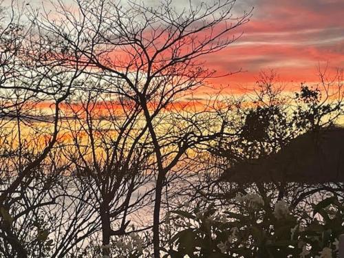 Luxurious Ocean-View 1BR in Las Catalinas by SPCR