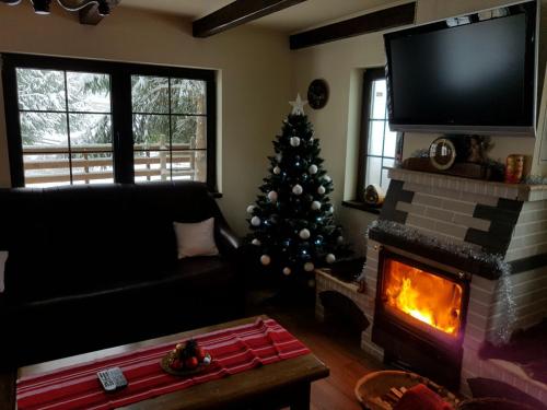 Cabana Colibita - image 14