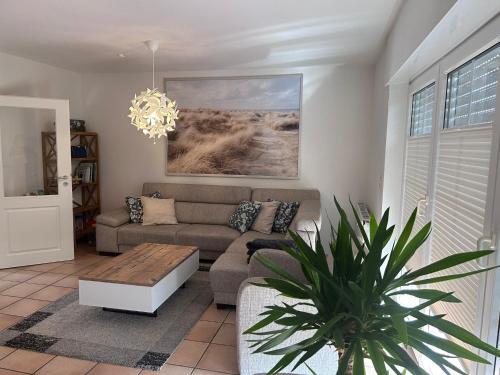 FroschKönig FroschKönig