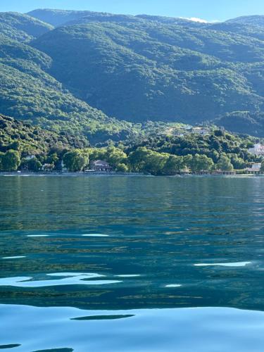 Exterior view of Dimos apartments