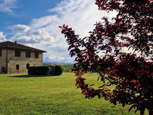 Podere Molinaccio - main image
