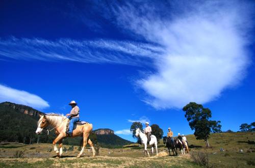 アルパイン モーター イン