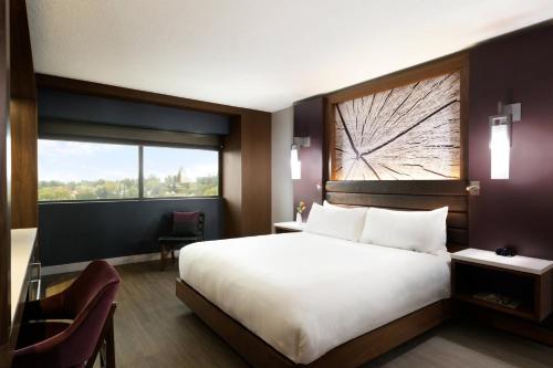 1 king bed, 1 double bed