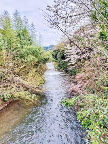 蛍の郷のみかんハウス in Yugawara