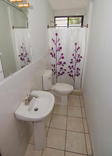 La Bicicleta Hostal - image 2