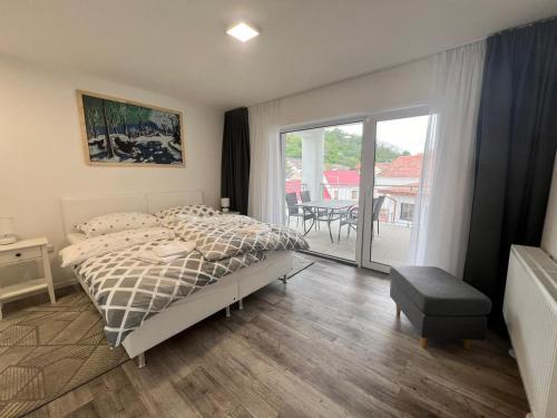 Stará vinice in Velké Žernoseky
