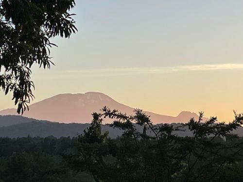 Msitu Hut