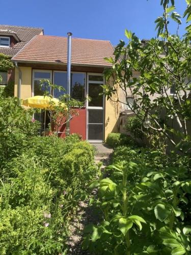 Studio Vineta in Barth, Deutschland