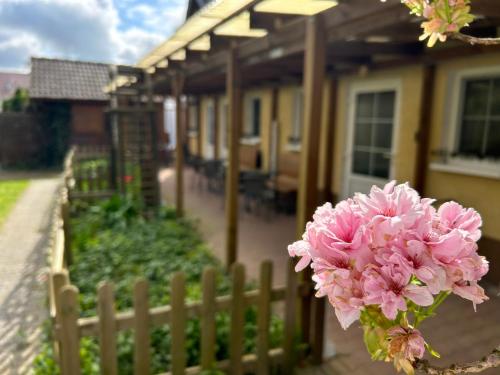 陽台/露台, Gemütliche Wohnung Landlust in See-Nähe (Gemutliche Wohnung Landlust in See-Nahe) in 貝斯科
