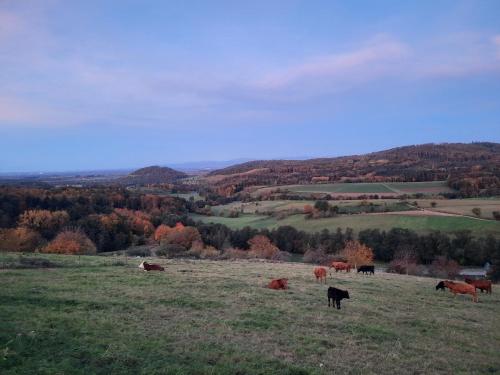 Apkārtne, Fernblick in Solden